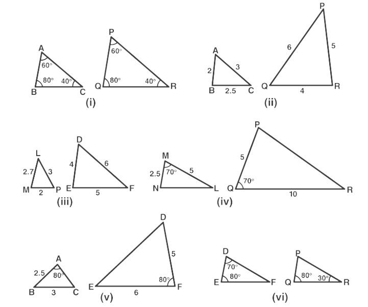 Ncert Solution For Class 10 Maths Chapter 6