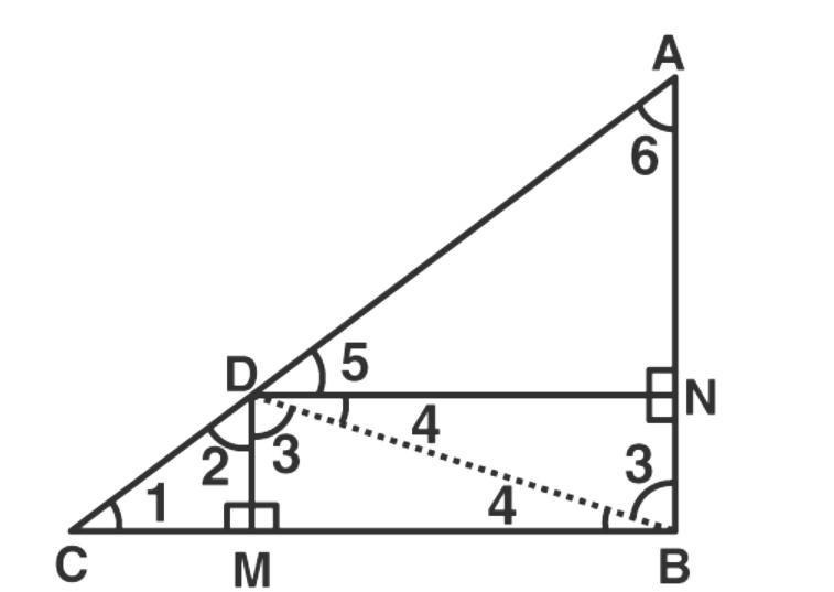 Ncert Solution For Class 10 Maths Chapter 6