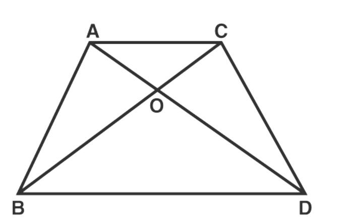 Ncert Solution For Class 10 Maths Chapter 6