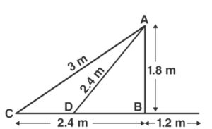 Ncert Solution For Class 10 Maths Chapter 6