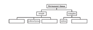 NCERT Solution For Class 9 Science Chapter 6