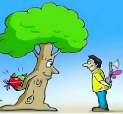 NCERT Solution for Class 09 English Beehive Poem - On Killing A Tree