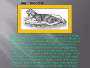 NCERT Solutions for Class 10 English Chapter 8 – Mijbil the Otter